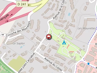 Carte de Rochat Eric à Villeneuve-loubet