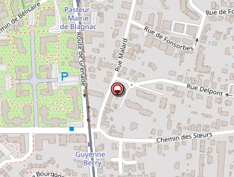 Carte de Safi Antoine à Blagnac