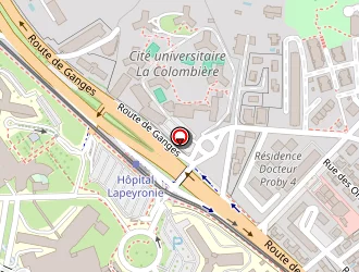 Carte de Belkebir Salim à Montpellier