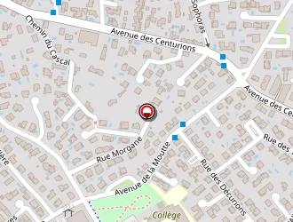 Carte de Lenglin Raphaël à Castelnau-le-lez