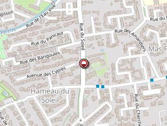 Carte de Py Juliette à Saint-martin-de-crau