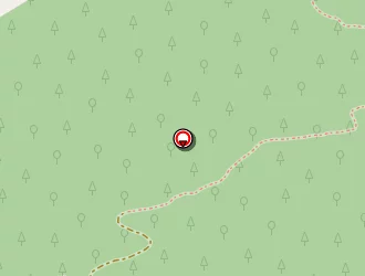 Carte de Costes Florent à Seillans