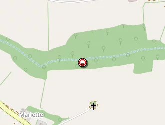 Carte de Lascombes Stéphane à Peyrusse-grande