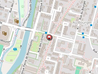 Carte de Gumiel Paul à Auch