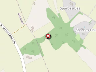 Carte de Vazquez Gonzalo à Belcastel