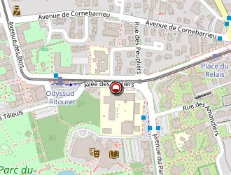 Carte de Carrefour City à Blagnac