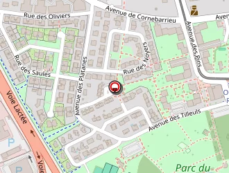 Carte de Julien Champenois à Blagnac