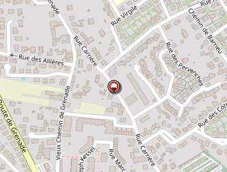 Carte de Nizard Dominique à Blagnac