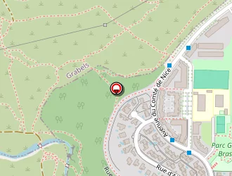 Carte de Iglesias Juan à Montpellier