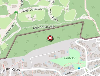 Carte de Dimeglio Alain à Montpellier