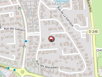 Carte de Benoit Patrick à Saint-martin-de-crau