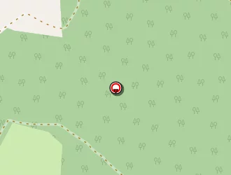 Carte de Brethes Alain à Geaune