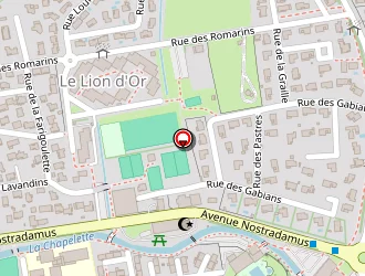 Carte de Satge André à Saint-martin-de-crau