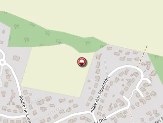 Carte de Bouchaud Thierry à Bénesse-maremne