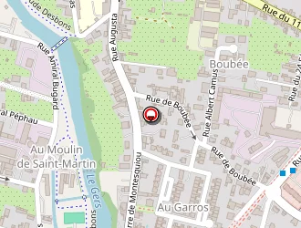 Carte de Palacin Nicolas à Auch