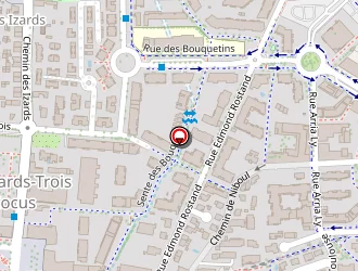 Carte de Streo à Toulouse