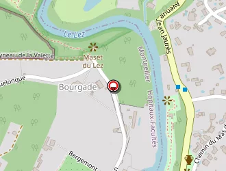 Carte de Meditransfert à Castelnau-le-lez