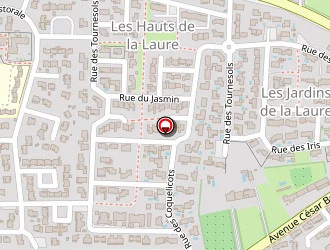 Carte de Debains Daniel à Saint-martin-de-crau