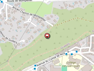 Carte de Moungalla Samy à Montpellier