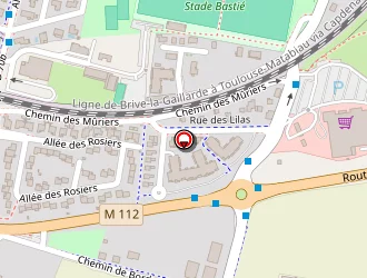 Carte de Santalucia Robert à Montrabé