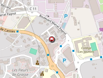 Carte de Budet-delhomme Danielle à Grasse