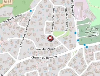 Carte de Lenoir Fabien à Castelnau-le-lez