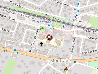 Carte de Mas Astrid à Montrabé