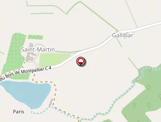 Carte de Domaine Saint Martin à Riguepeu