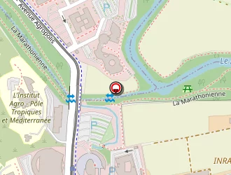 Carte de Avalos Pablo à Montpellier