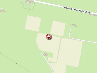 Carte de Mareri Jean Pierre à Arles