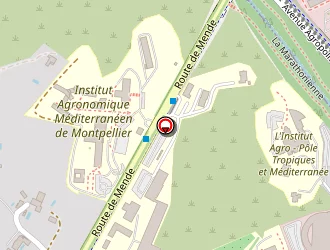 Carte de Taboada-miquel Régine à Montpellier