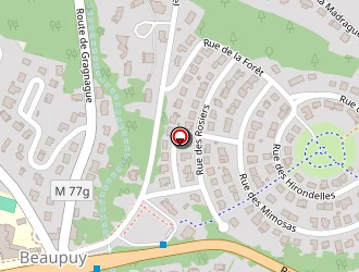 Carte de Paschetta-ramin à Beaupuy