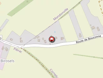 Carte de Vazzoler Annie à Cornebarrieu