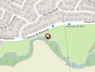 Carte de Descoins Didier à Union (l')