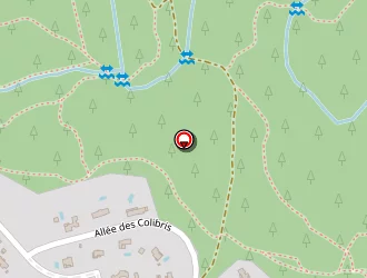 Carte de Dsc Conseil à Roquefort-les-pins