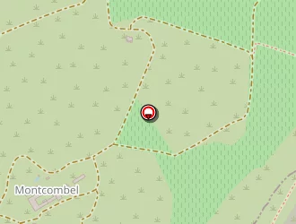 Carte de Ambulances Concorde à Vailhauquès