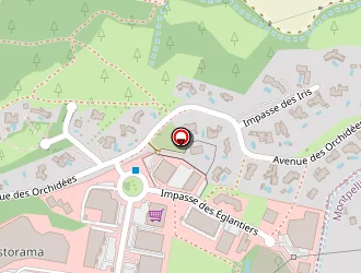 Carte de Assis Couché à Saint-clément-de-rivière