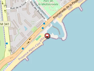 Carte de Ylan Professional à Cagnes-sur-mer