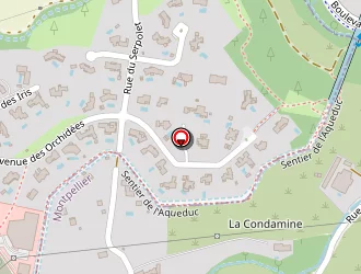 Carte de Anguille Alain à Montpellier