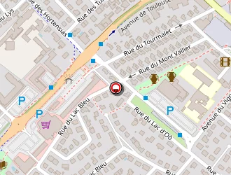 Carte de Thepot Karine à Union (l')