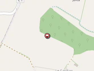 Carte de Odorico Arlette à Barran