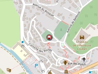 Carte de Numéricard Impression (e.i.) à Villeneuve-loubet