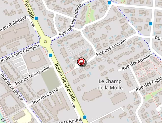 Carte de Crivello Frédéric à Beauzelle