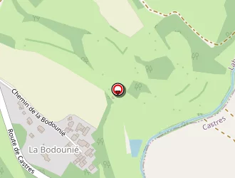 Carte de Orchestre De Michel à Laboulbène