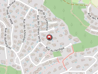 Carte de Taxi Mistrangelo à Clapiers