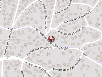 Carte de Attitude Glisse à Hossegor