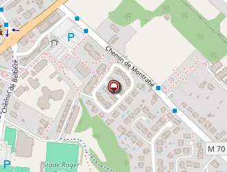 Carte de Bravo Michel à Saint-jean