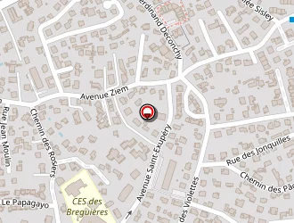 Carte de R.e.p à Cagnes-sur-mer