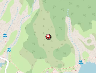 Carte de Expertises Conseils Et Management à Celles