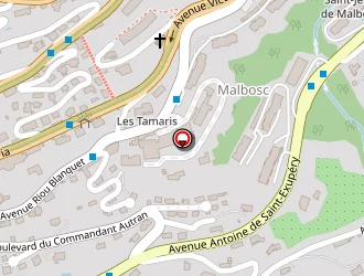 Carte de Sb Taxi à Grasse